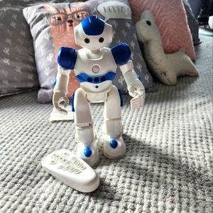 Walking robot